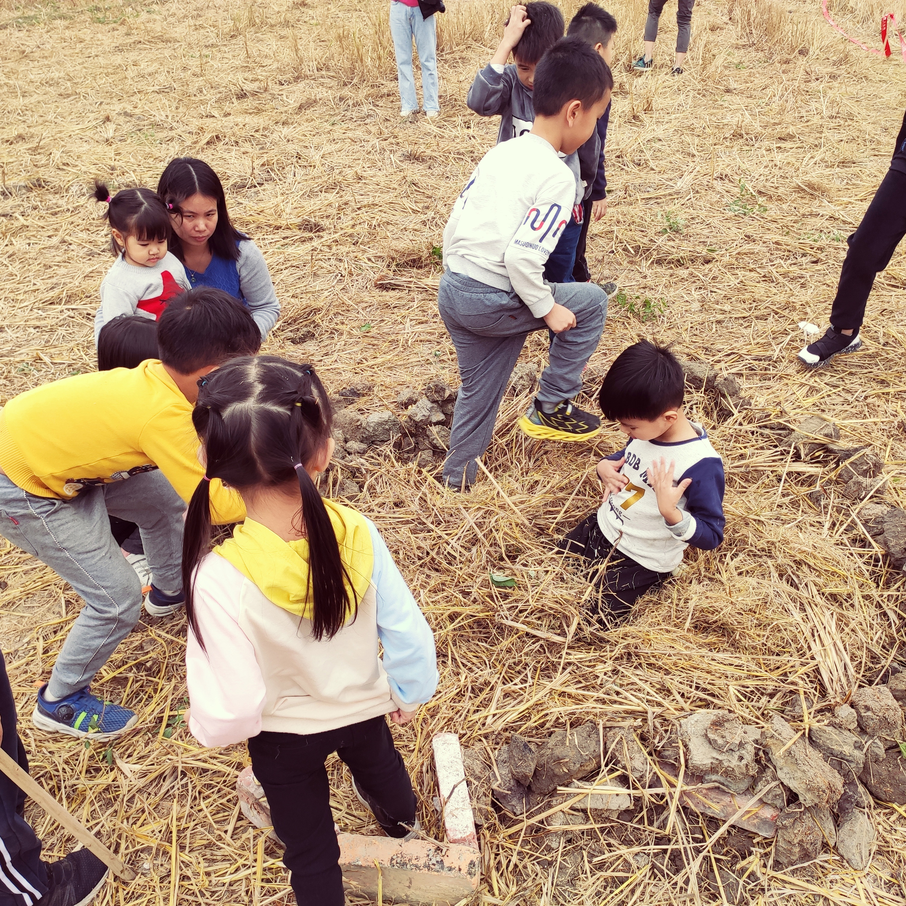 江门至道会跆拳道,开平苍龙跆拳道