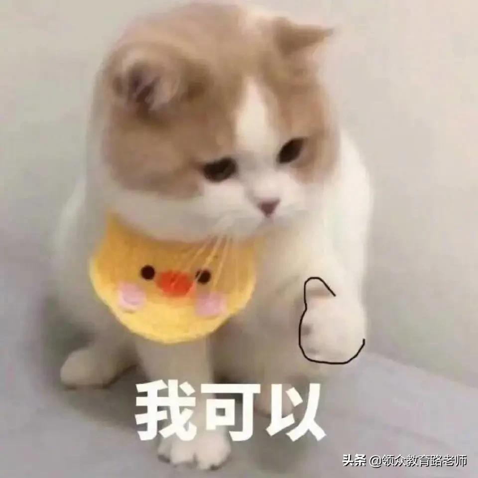 简短有意义的微信号修改,修改哪些有意义的微信号