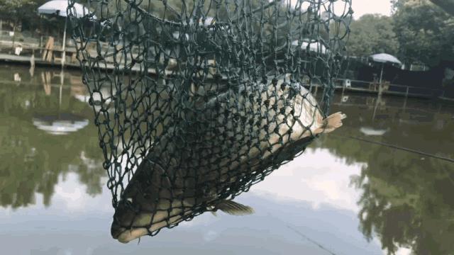 都江堰景区钓鱼地点推荐,都江堰垂钓好去处