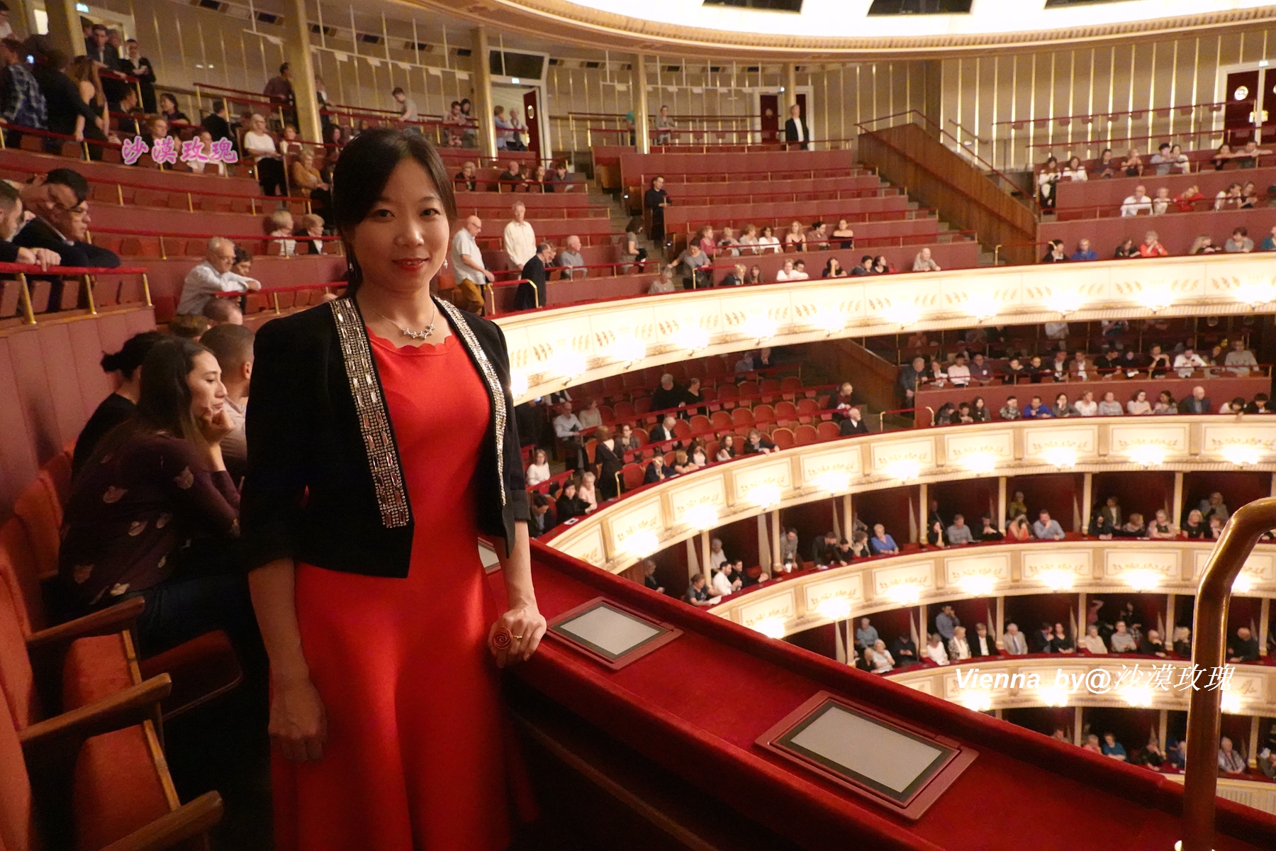 只要3欧元，就能在维也纳听一场世界级的音乐