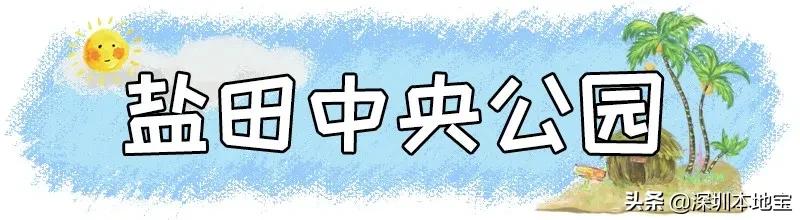 深圳免费的景点有哪些地方,深圳有哪些免费又好玩的地方景点