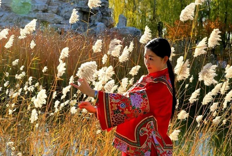 盘锦情书完整版,盘锦情书最新版