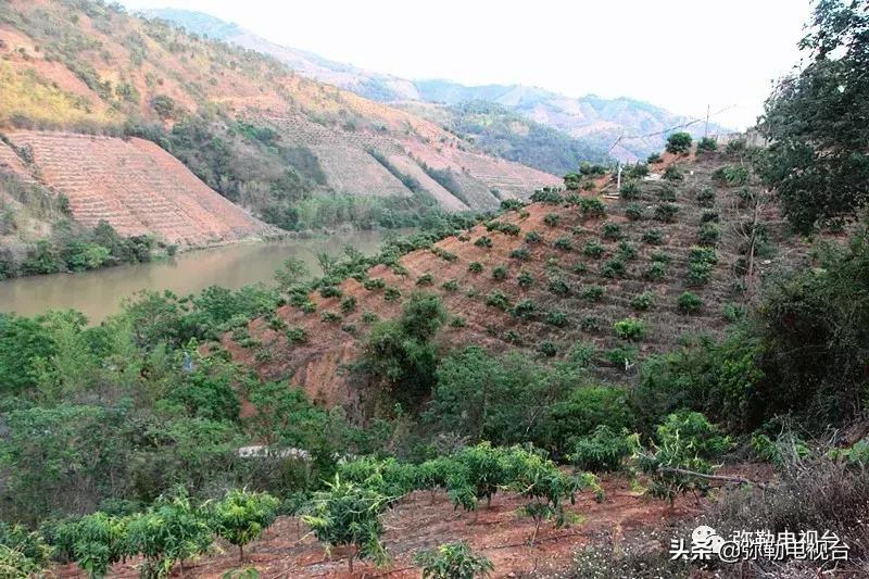 弥勒千亩西瓜熟了！黄心瓜、红心瓜、小香瓜…你喜欢哪种？