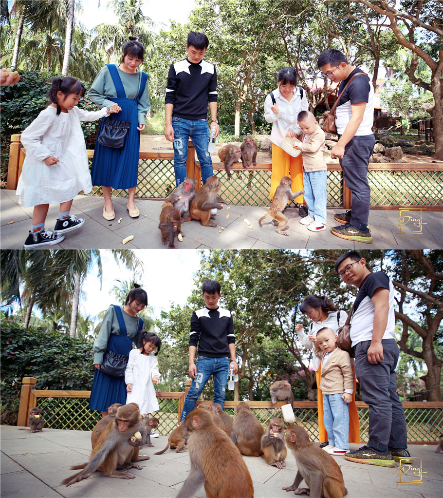 海南猴岛旅游自由行攻略,海南猴岛和呆呆岛攻略