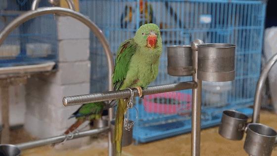 重庆的大型批发市场,最新最全重庆批发市场一览表