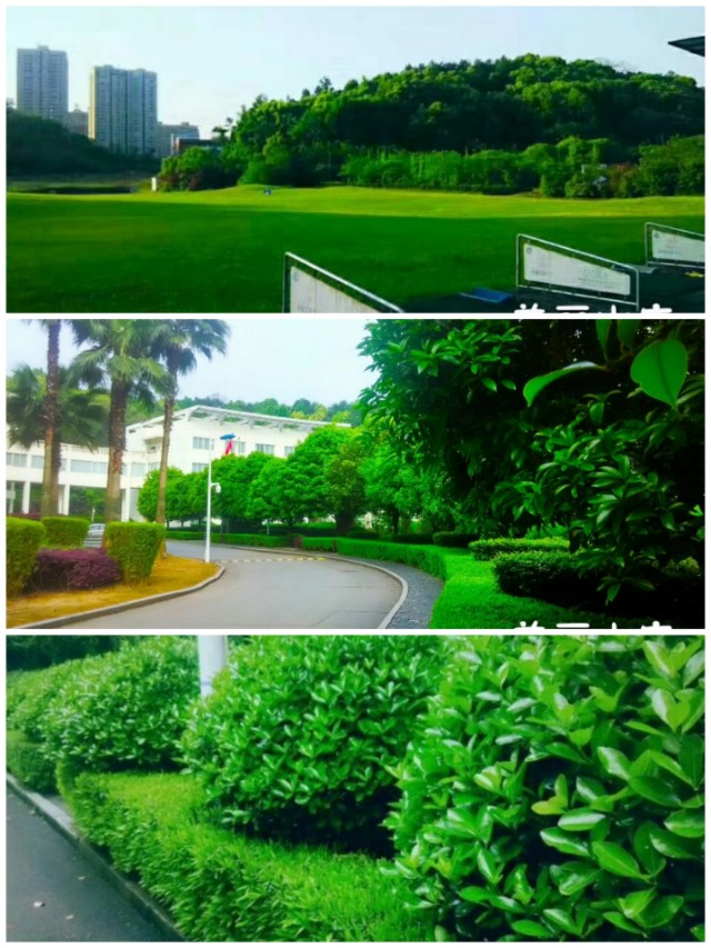 芙蓉国里尽朝晖三湘四水好风景,同升湖通程山庄大酒店还在营业吗