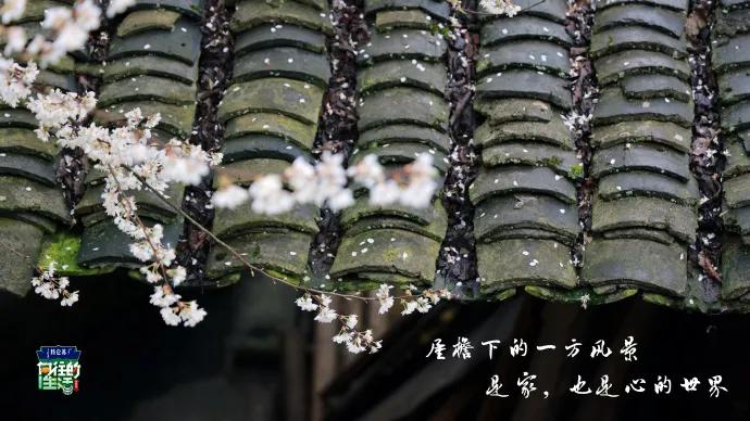 向往的生活1-6季文案,向往的生活一屋两人三餐四季文案