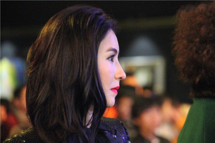 隆鼻张柏芝鼻型,浪姐张柏芝新消息