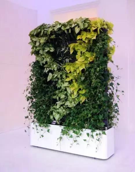 植物屏风隔断效果图,小型屏风