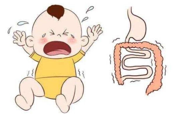 一岁宝宝脾胃不好吃什么辅食,脾胃虚弱消化不好一日三餐怎么吃