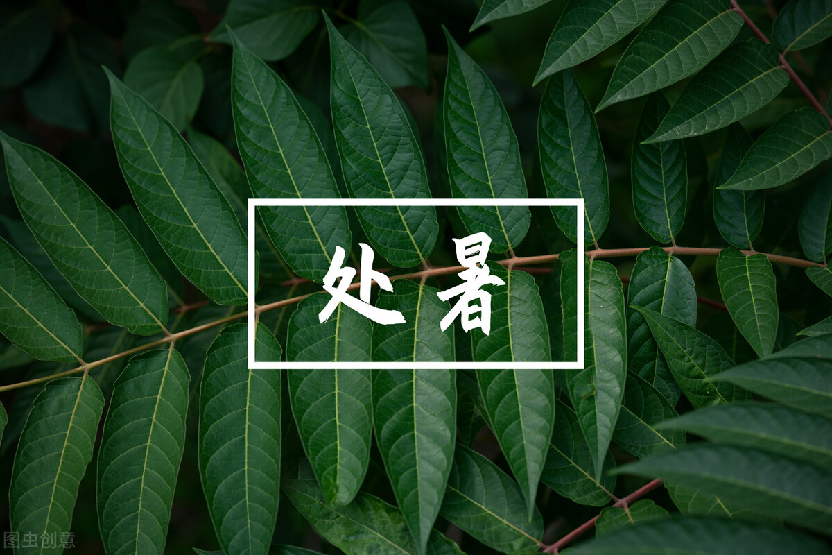 处暑节气的传统习俗及养生攻略,处暑节气阴阳转换祛暑防燥很重要