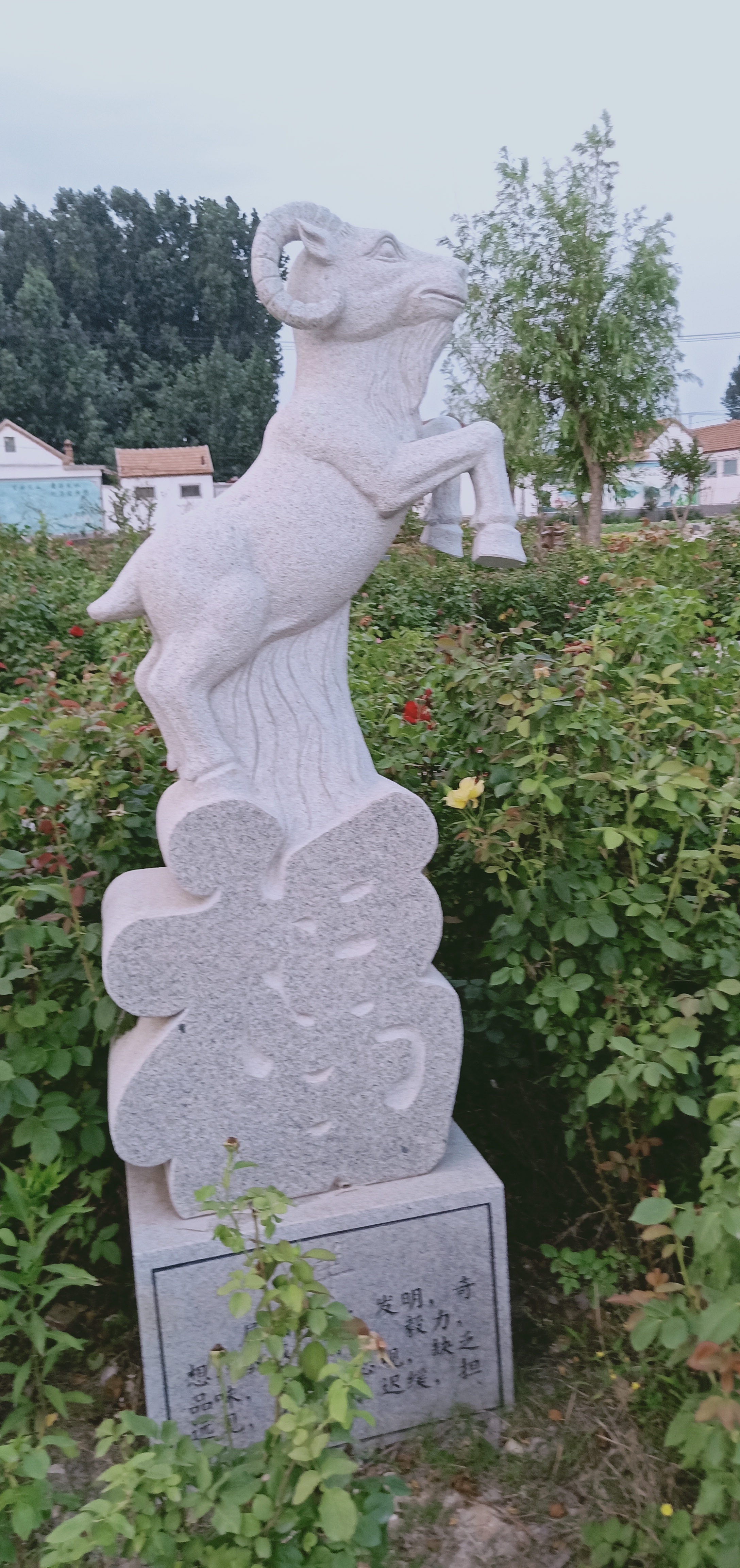 怎么介绍自己的属相给大家听,属相了解一个人