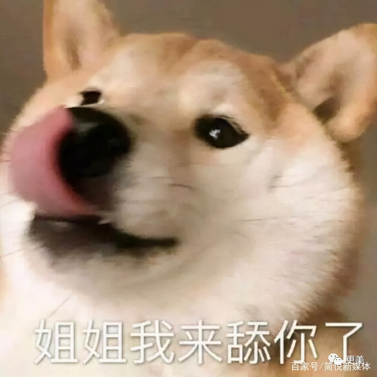 国民老婆王冰冰,央视女记者王冰冰结婚了吗