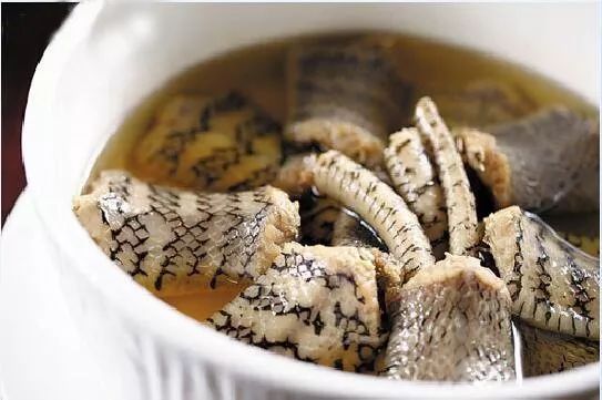 2019十大养殖品种图片,这两年最火的养殖品种