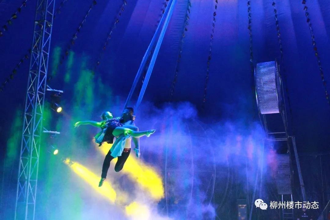 这个夏天柳东“热”得不像话，科教文娱全方位爆红