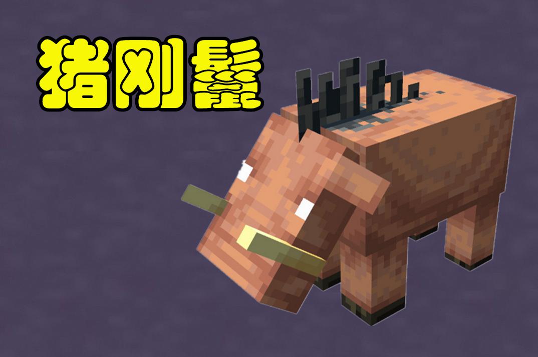 我的世界下界新生物,我的世界下界和末地新生物