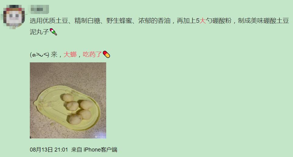 南方蟑螂和北方蟑螂对比恶搞,南方大蟑螂吓哭北方人