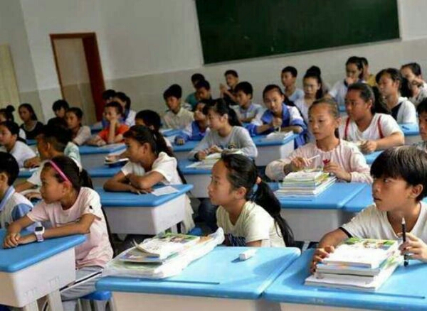 到底应该做鸡头还是做凤尾,到底应该做鸡头还是凤尾