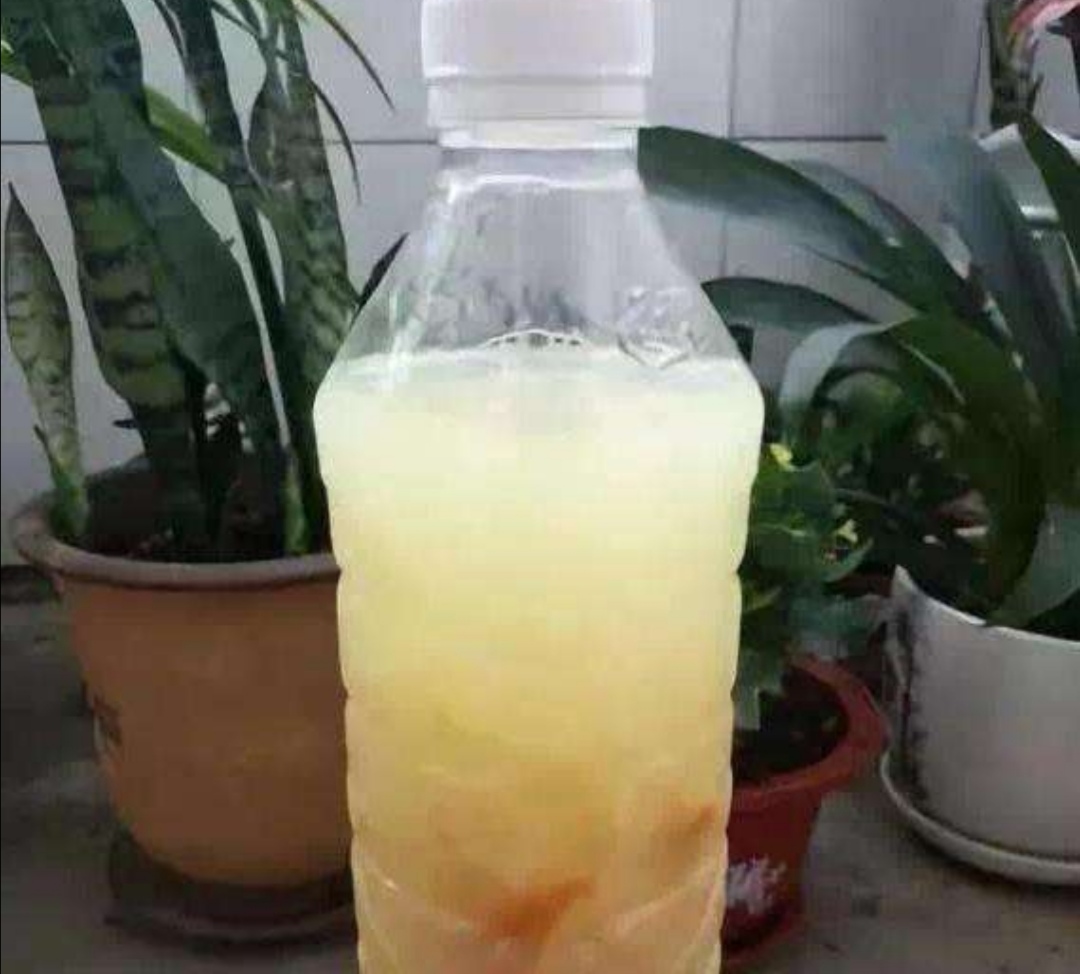 盆土浇水不积水的方法,土太硬了浇不透怎么办