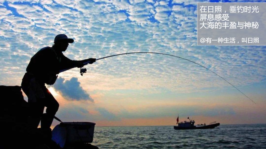 孙小荣：日照生活“三十六计”|典型课程1