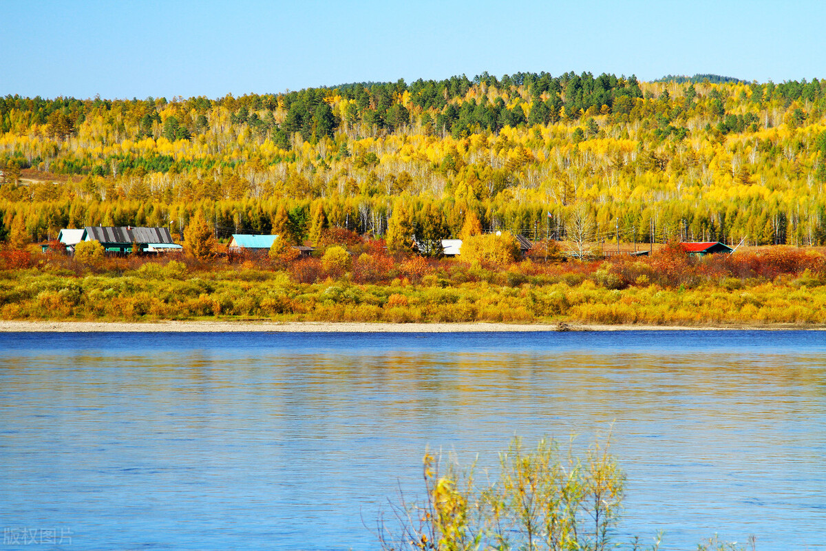 鳇鱼的“黑金之争”：我国独享2千年，放流却给俄罗斯做了嫁衣？