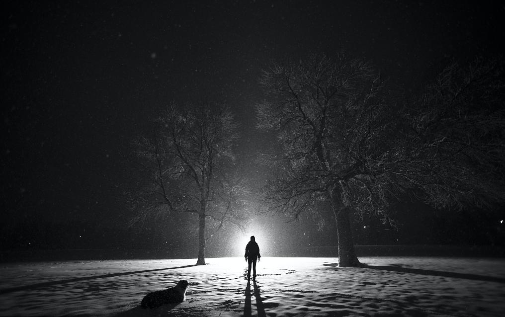 迷你澳牧犬好养吗,没有养过的人不懂养狗的快乐