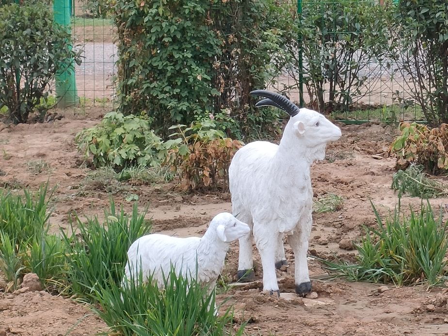 因过竹院逢僧话偷得浮生半日闲,偷得浮生半日闲下一句什么意思