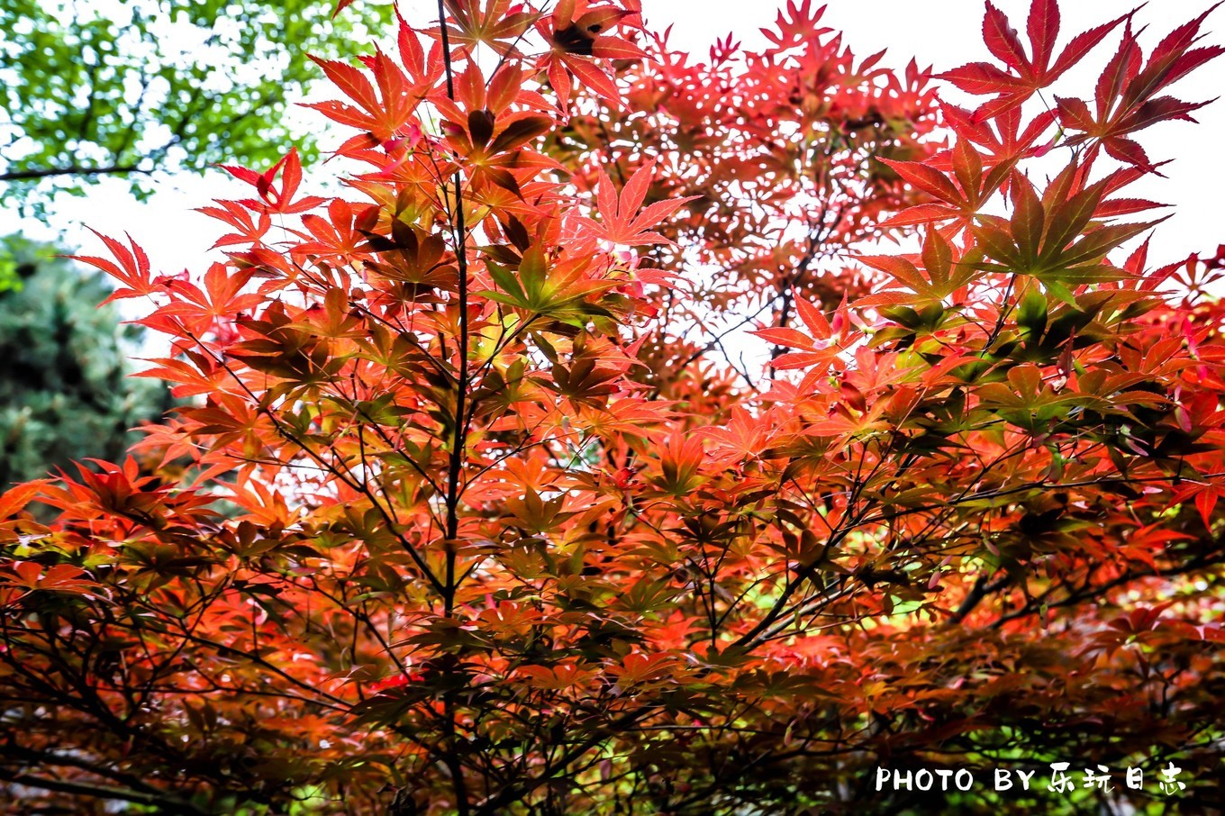 郴州最好的民宿排行榜,郴州山上的民宿推荐