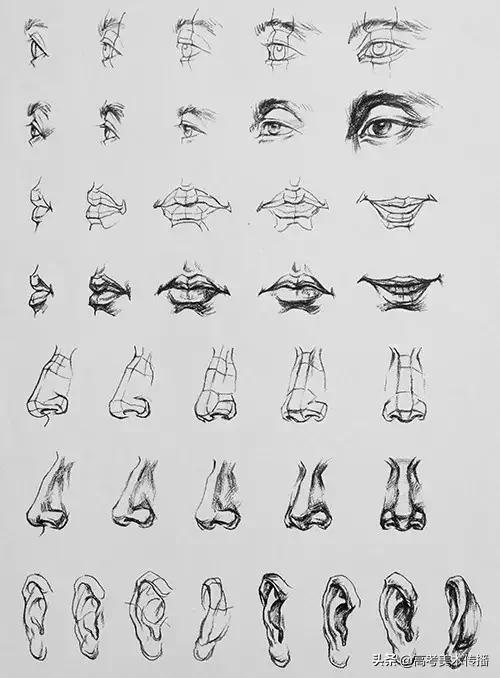 速写五官技法,速写五官的画法精讲