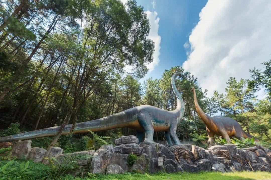 森波拉温泉度假村两天一夜游,倒数跨年狂欢夜