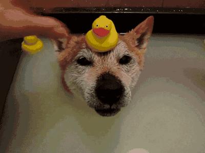 3平米卫生间加浴缸,4平方的卫生间有浴缸和大洗漱台