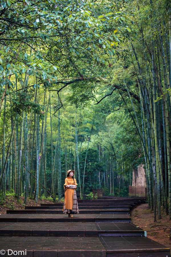 江西旅游攻略三天自由行攻略,江西三天两夜自由行旅游攻略