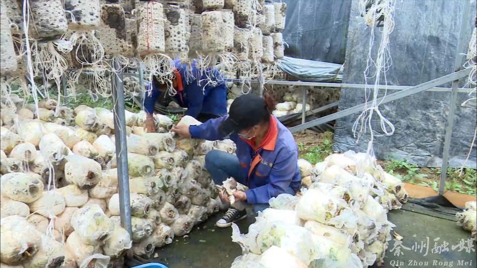 走向我们的小康生活广西,走向我们的小康生活甘肃