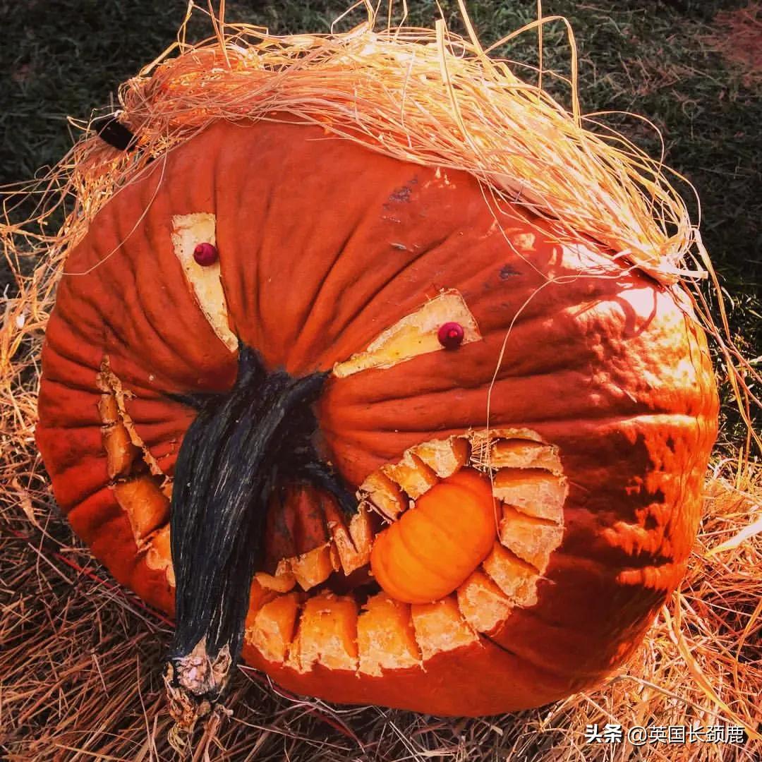 南瓜大作战攻略,南瓜大作战有几个地点