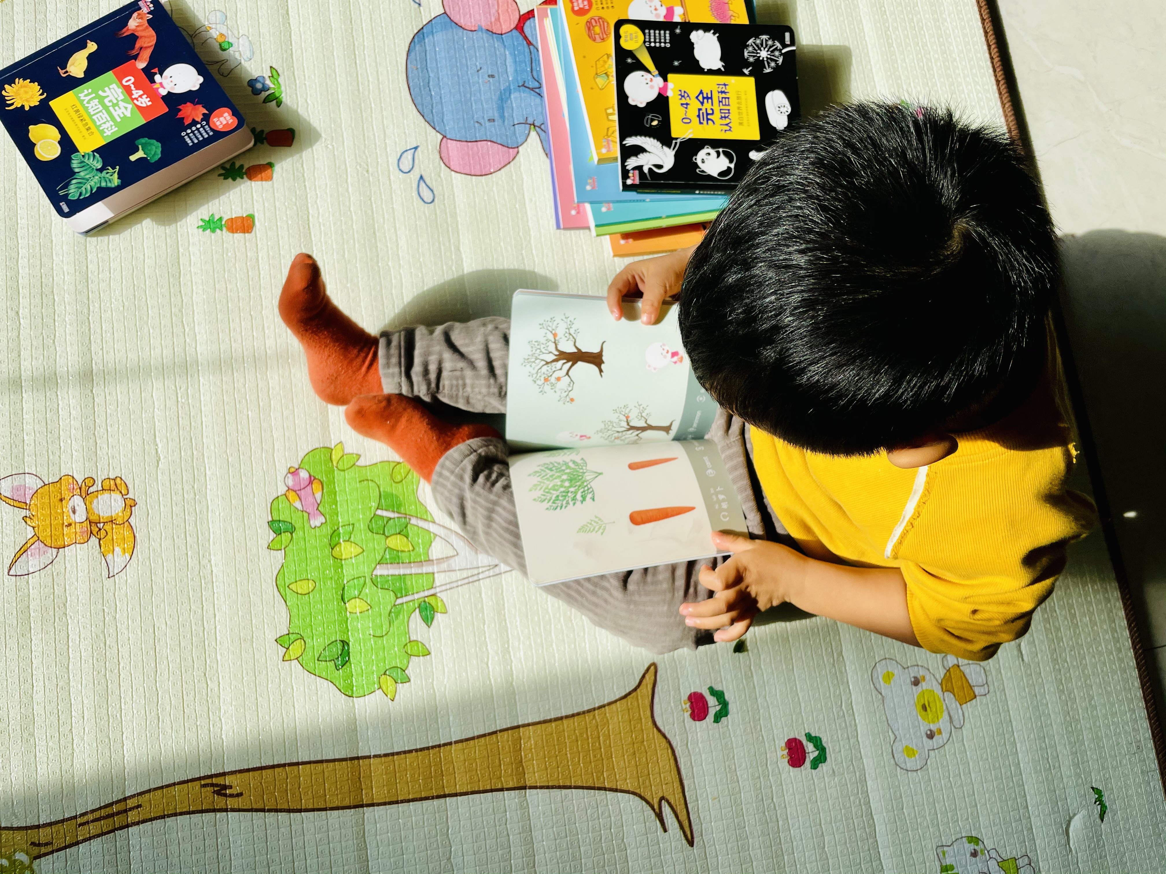 犹太人的智慧和教育方法,犹太人的早教