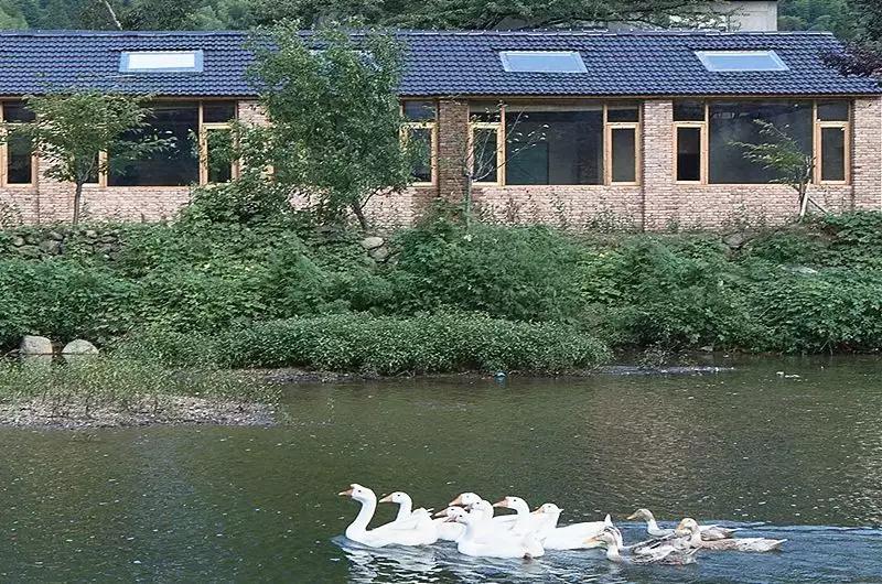 全国最美乡村振兴项目,中国最美的乡村振兴项目