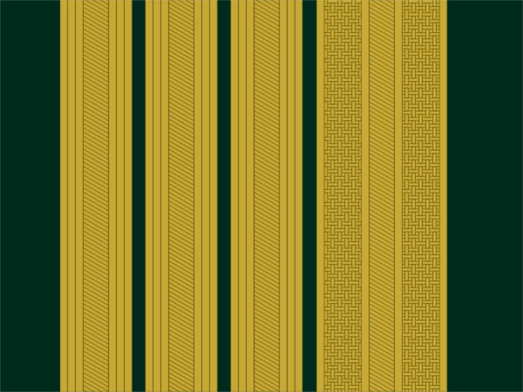 各国军队标识葡萄牙陆军,各国军衔标识葡萄牙