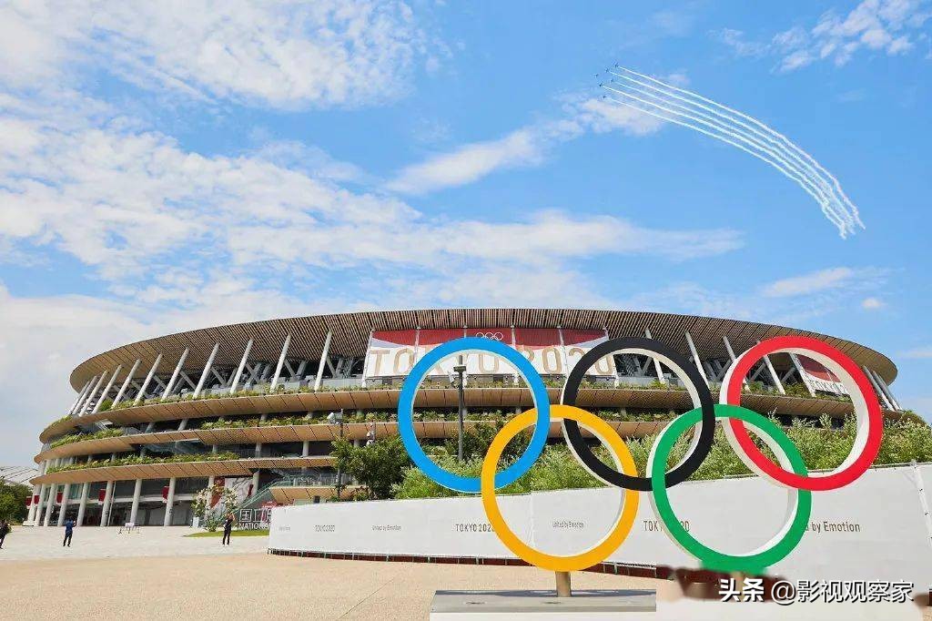 饭圈文化侵入体育界,饭圈文化对体育圈的影响