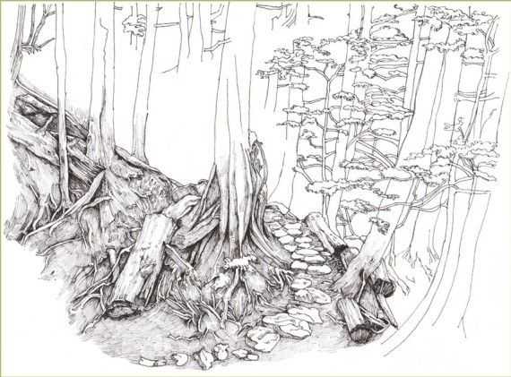 彩铅入门基础教程风景画,彩铅风景画教程简单入门