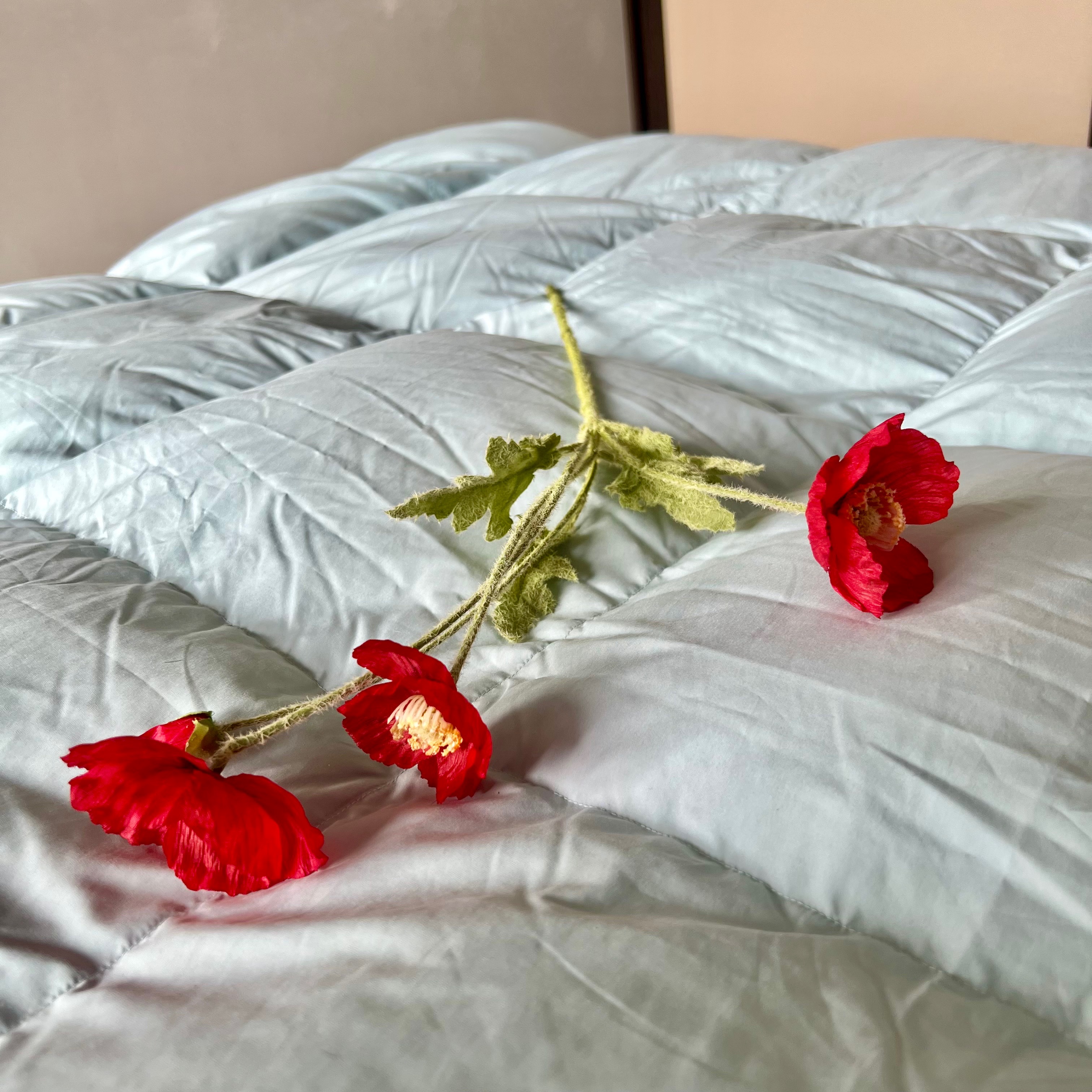 冬天需要一床温暖的被子,冬天需要鹅绒被