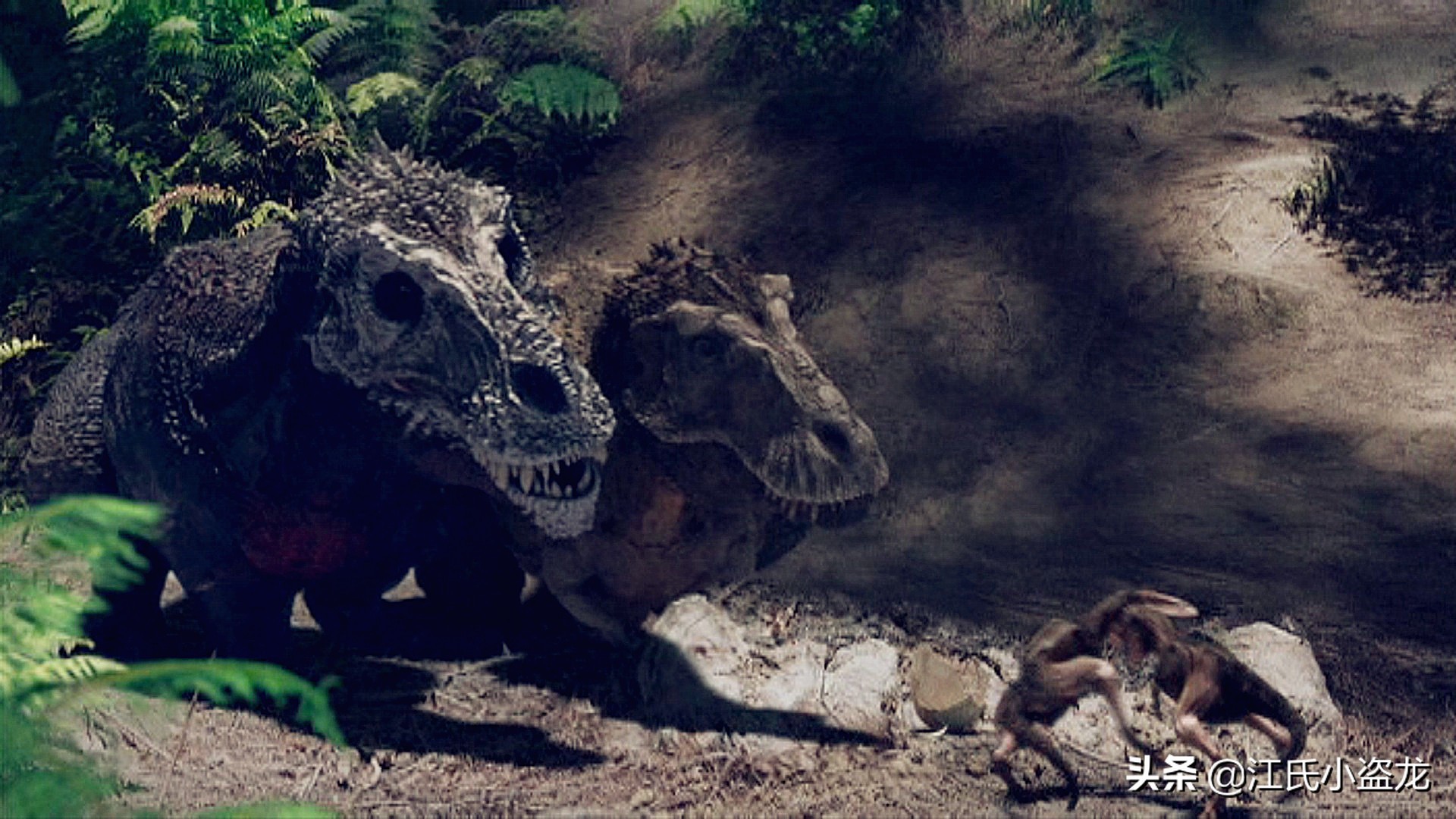 霸王龙在各时段的演化,霸王龙多大的时候可以独立