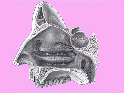 老是流鼻涕什么方法快速解决,孕妇怎么快速止住流鼻涕