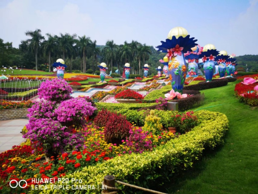 广州云台花园花展,广州云台花园咋样