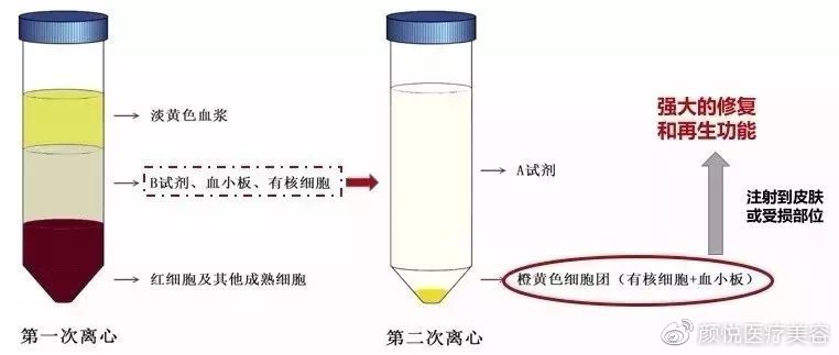 BOZ宝致|抗衰干货！我希望等到60岁依然是你们眼中的小可爱