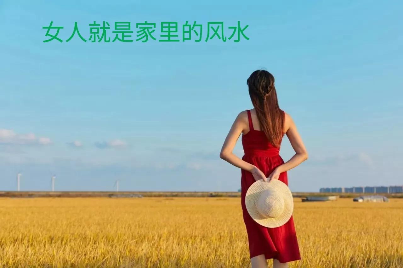 男人问择偶标准怎么答,男人问你择偶标准怎么回答