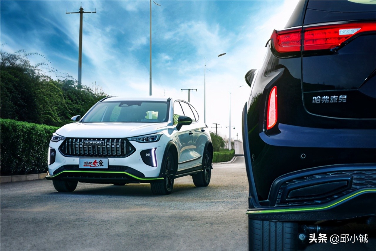 赤兔有啥区别,赤兔是哪个马种