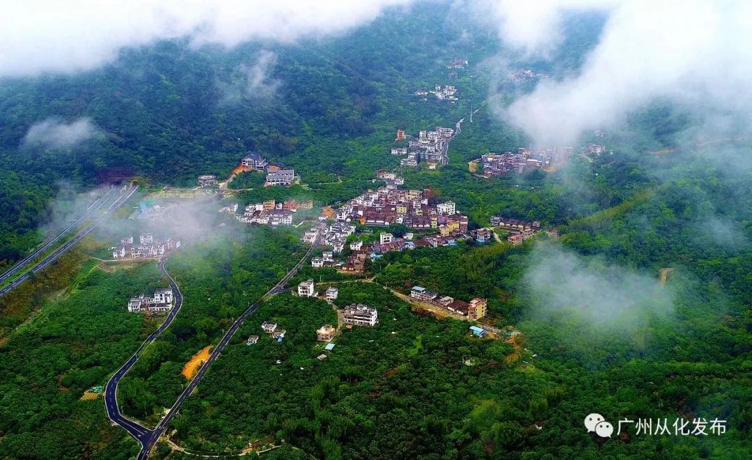 花都增城南沙从化哪个发展好,增城从化花都南沙哪里买房好