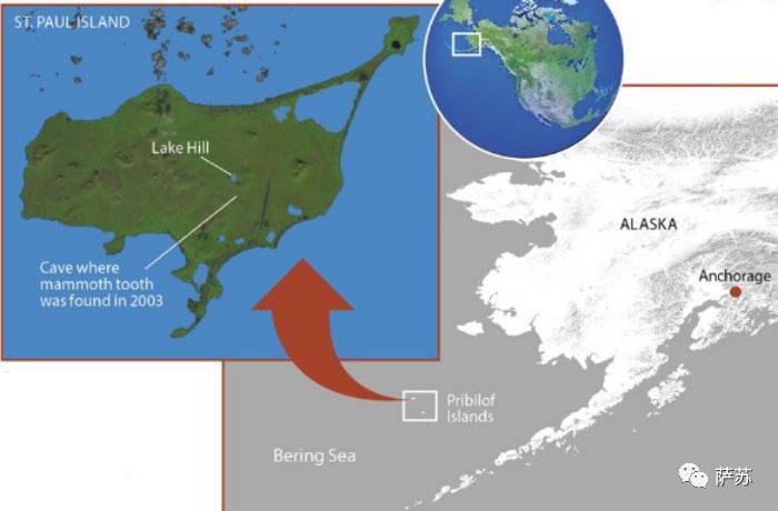 猛犸象灭绝是人类导致的吗,猛犸象灭绝原因的推测有几点
