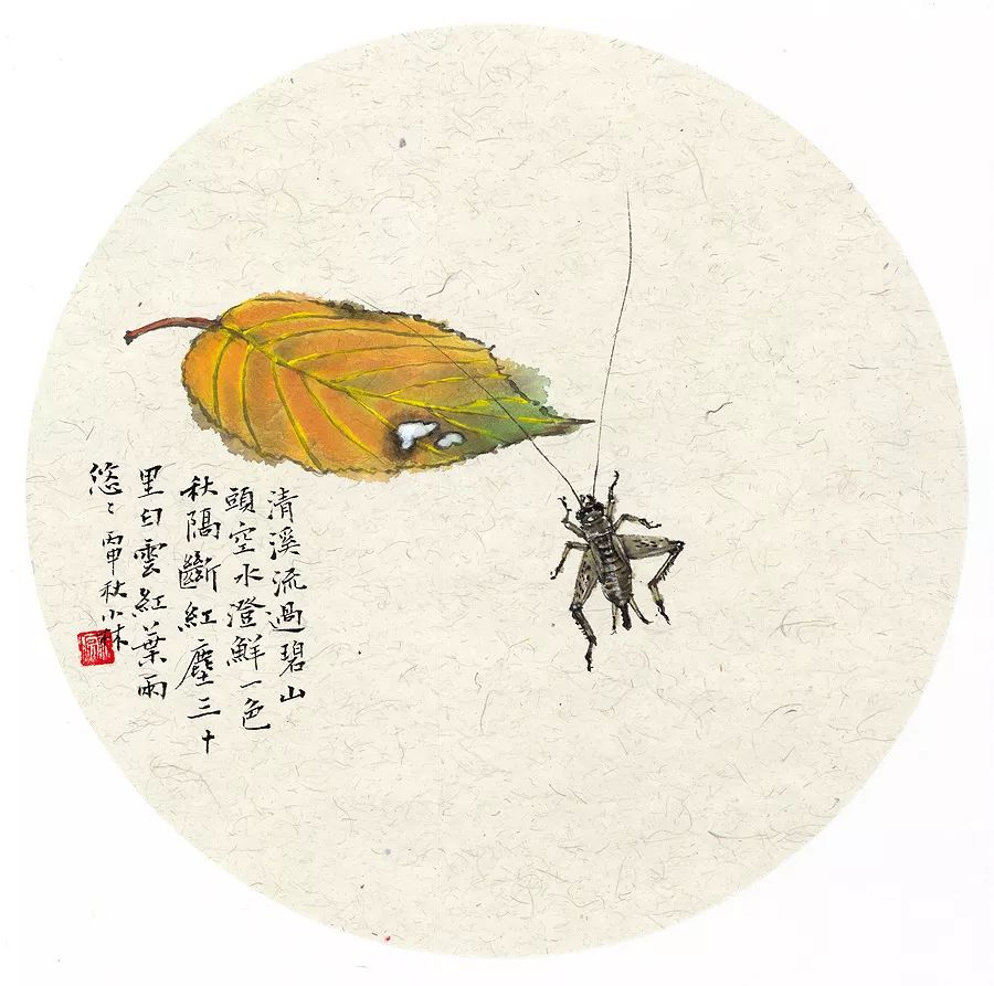 小林｜常恐秋风早，飘零君不知