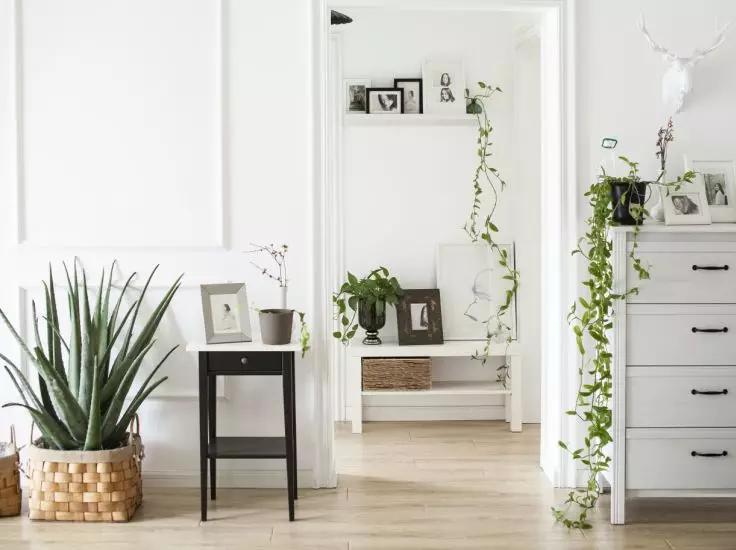 56岁阿姨独居2层别墅，不结婚不生娃，靠另类日式风圈粉无数人